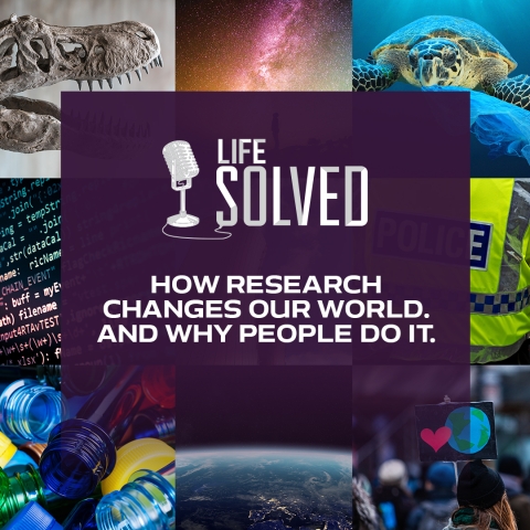 Life Solved logo with pictures and descriptive text