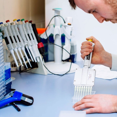 Researcher using pipette in lab