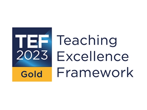 TEF Gold 2023 